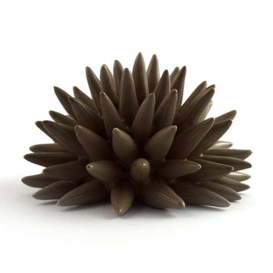 Taupe urchin Ø6cm