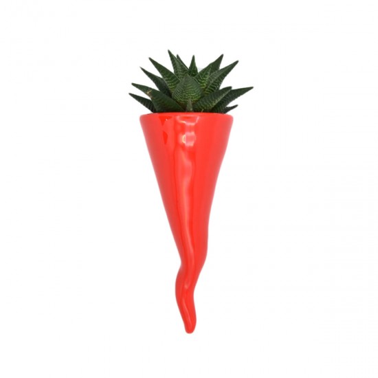Red passion plant holder horn