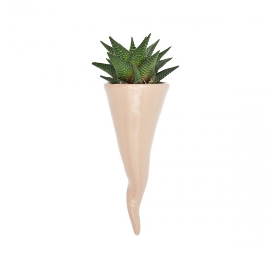 Tortora plant holder horn